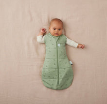 Cocoon Swaddle Bag 2.5 Tog Willow