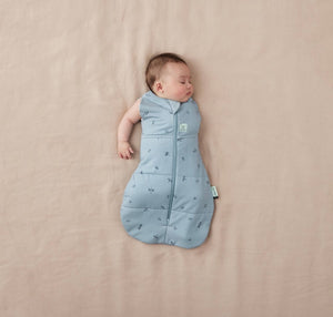 Cocoon Swaddle Bag 2.5 Tog Dragonflies