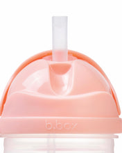 B box- Sippy Cup