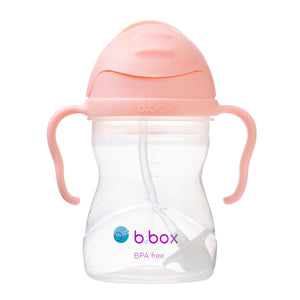 B box- Sippy Cup