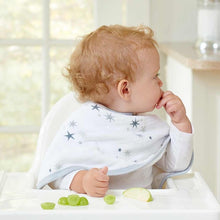 Aden and Anais- 2pk Burpy Bibs- Twinkle